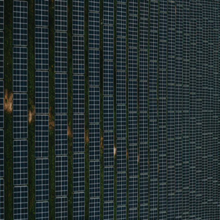 China ha generado una sobreproducción de paneles solares que ha provocado un colapso en sus precios, por lo que ahora planea desactivar plantas manufactureras para estabilizar el sector.
