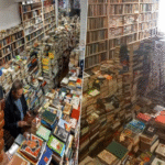 Más de 200.000 libros por una cuota anual de 11 euros: ‘El Club de los Libros Libres’ de Valencia se consolida como un paradigma para los aficionados a la literatura en soporte físico.