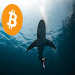 Los inversores de Bitcoin en fase de acumulación adquirieron 65.000 BTC en el transcurso de una semana.