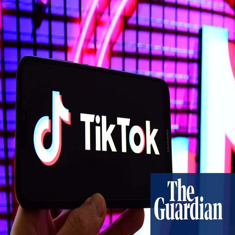 Un legislador solicita una investigación penal francesa contra TikTok.