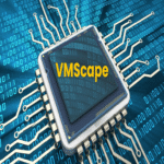 Nuevo ataque Spectre-BTI de VMScape explota brechas de aislamiento en CPUs de AMD e Intel.