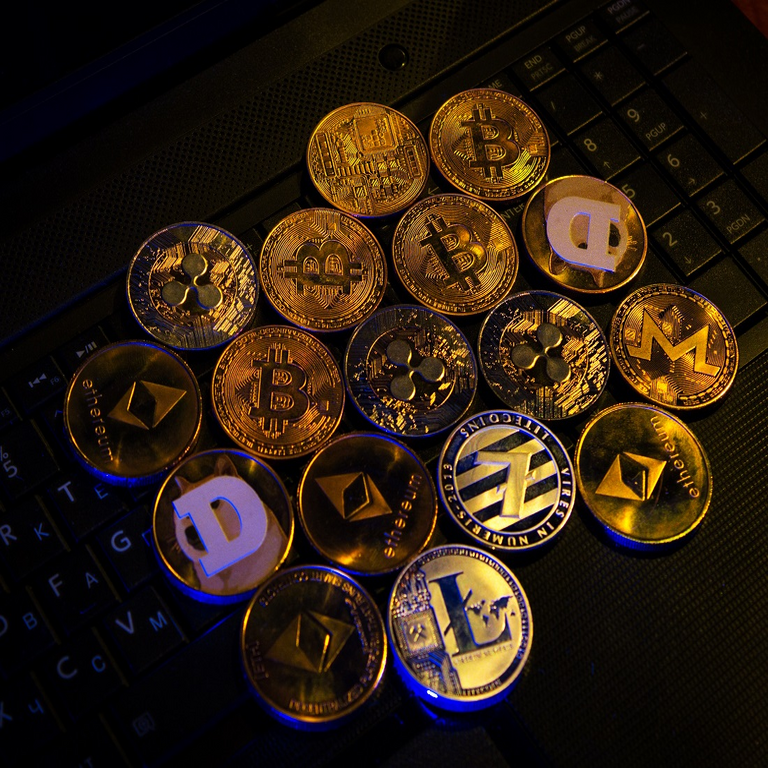 ¿Qué criptomonedas están mostrando un rendimiento destacado durante la actual temporada alcista y cuáles son los factores fundamentales detrás de este comportamiento?
