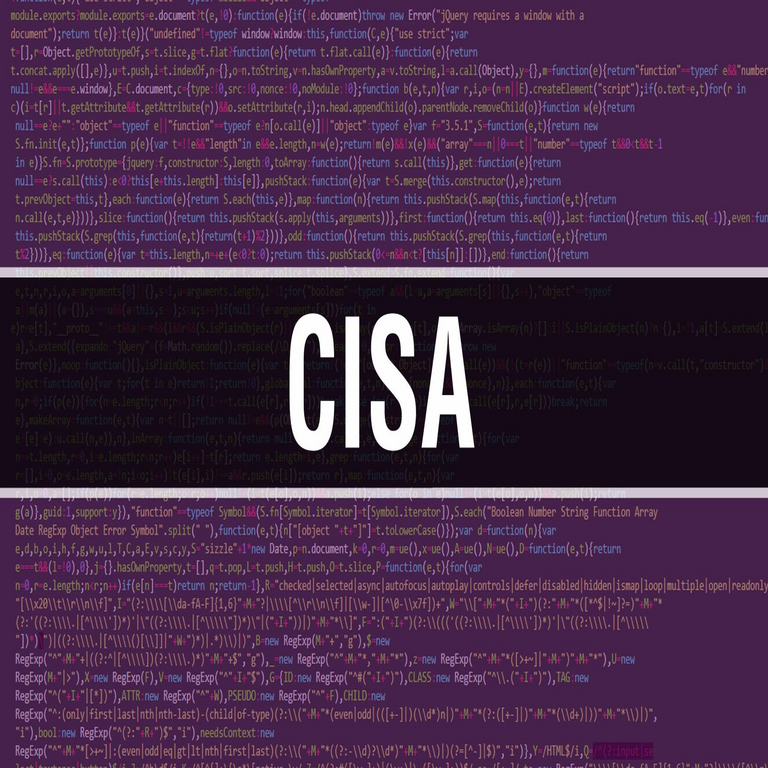 Sin asistencia federal, la defensa cibernética de la CISA se vería comprometida.