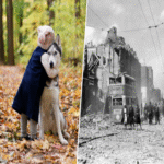 Al inicio de la Segunda Guerra Mundial, la ciudad de Londres fue escenario de una de sus más significativas tragedias: el sacrificio masivo de animales de compañía.