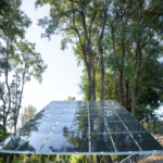 Los árboles solares pretenden resolver la paradoja de las energías renovables: expandir la capacidad de generación sin provocar daños al medio natural.