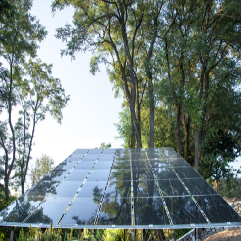 Los árboles solares pretenden resolver la paradoja de las energías renovables: expandir la capacidad de generación sin provocar daños al medio natural.