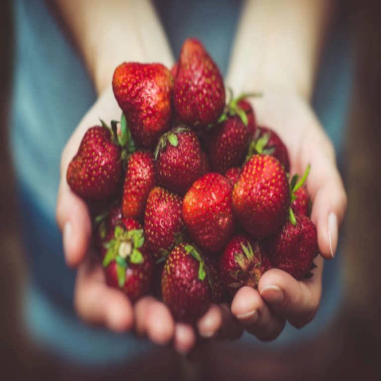 El estudio más exhaustivo sobre sistemas alimentarios sostenibles confirma la superioridad de las proteínas de origen vegetal.