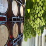 El vino español anticipaba un escenario muy favorable tras la finalización de la sequía, pero la evolución del precio de la uva está alterando todas las perspectivas.