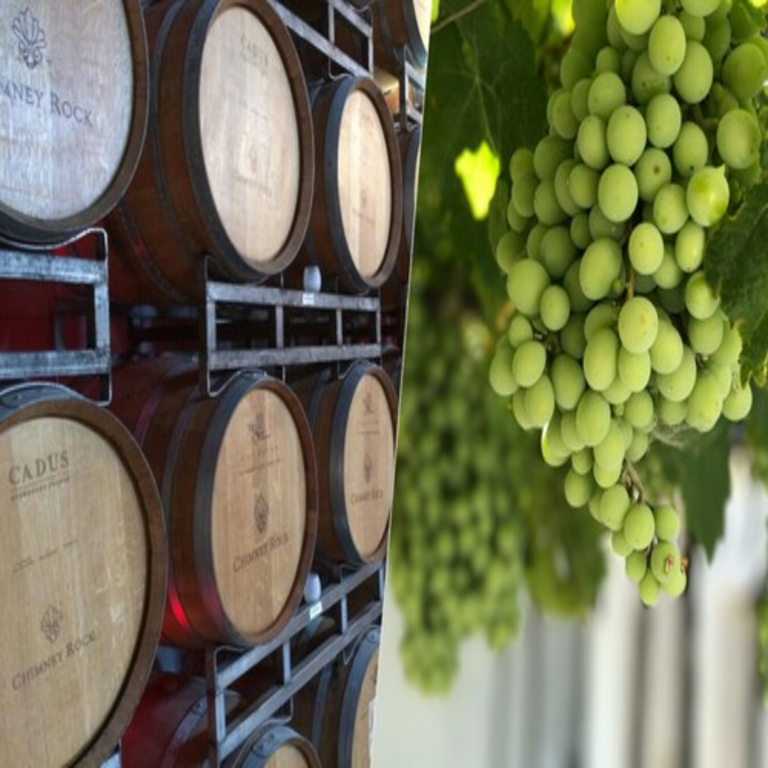 El vino español anticipaba un escenario muy favorable tras la finalización de la sequía, pero la evolución del precio de la uva está alterando todas las perspectivas.