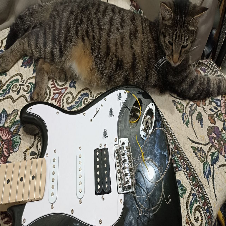 Instalación de una pastilla humbucker tipo puente en una guitarra Stratocaster de gama económica.