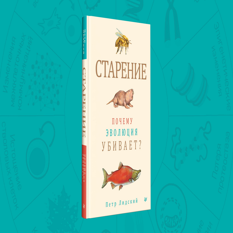 El libro: “El envejecimiento: ¿Por qué la evolución selecciona la mortalidad?”