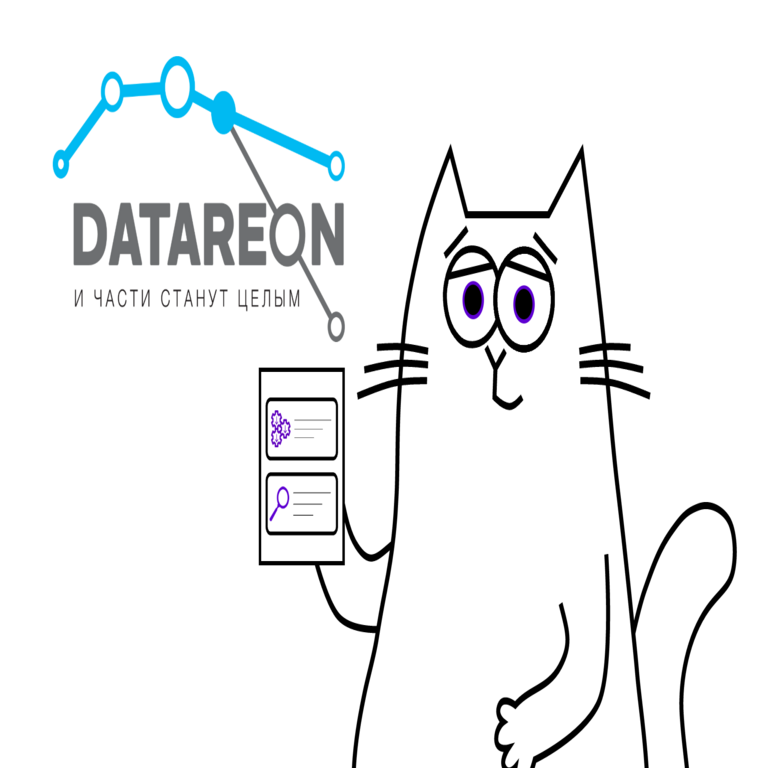 Análisis de la Plataforma DATAREON.