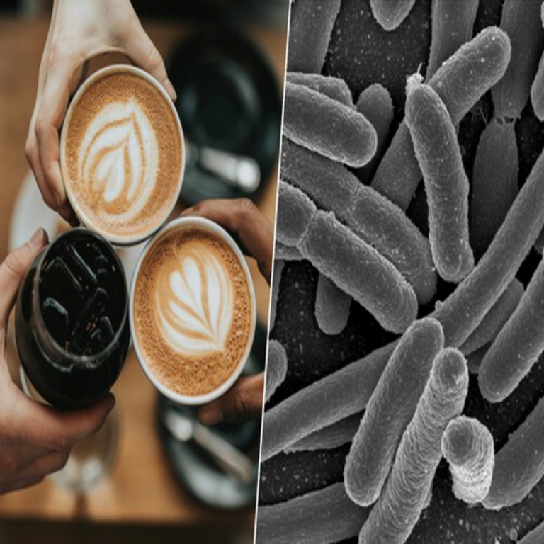 Si bien se conocían los beneficios del café para la salud, nuevas evidencias lo identifican como un potente modulador de la microbiota intestinal.