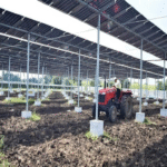 India requiere más cultivos y energía solar que cualquier otra nación, por lo que está implementando instalaciones de paneles solares elevados.