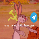 Telegram: Participar en votaciones conlleva riesgos de exposición.