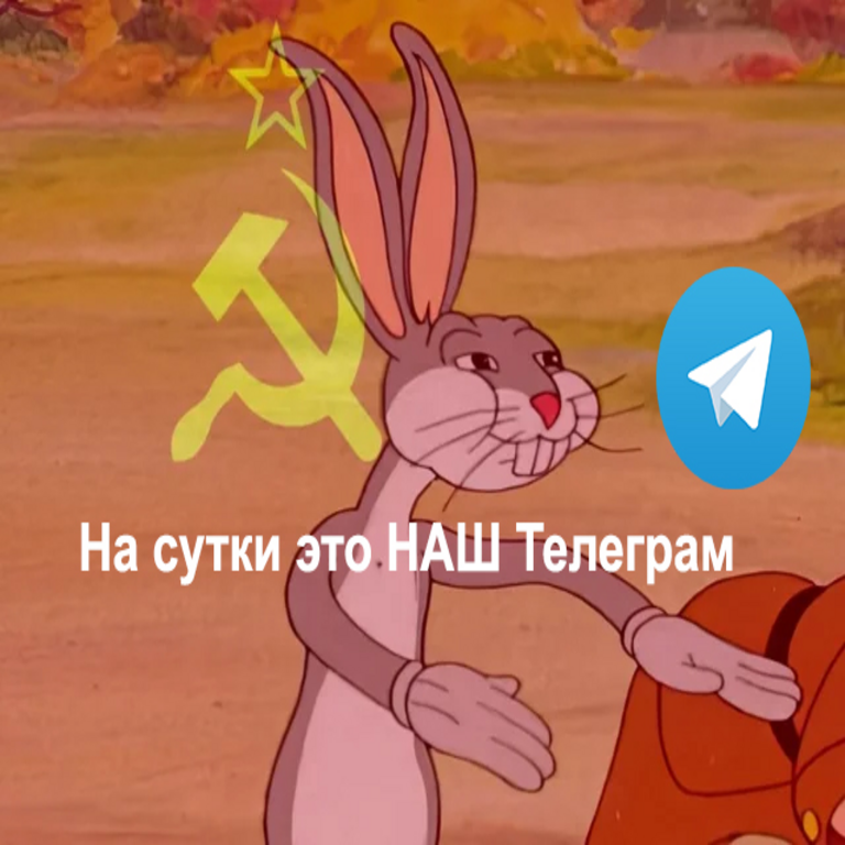 Telegram: Participar en votaciones conlleva riesgos de exposición.