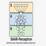 Perceptrón SAAR (Reservorio Adaptativo Asociativo Autorecursivo)
