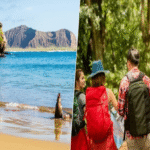 La situación de las islas Galápagos, que ya se percibía como altamente vulnerable, enfrenta una nueva y creciente amenaza con la incidencia de plataformas de alquiler vacacional como Airbnb.