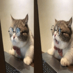 Monitor de rendimiento y más allá: continuando con las pruebas de rendimiento en Chrome DevTools.