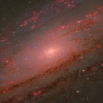 Ganadores del concurso de Fotografía Astronómica del Año 2025 por ZWO.