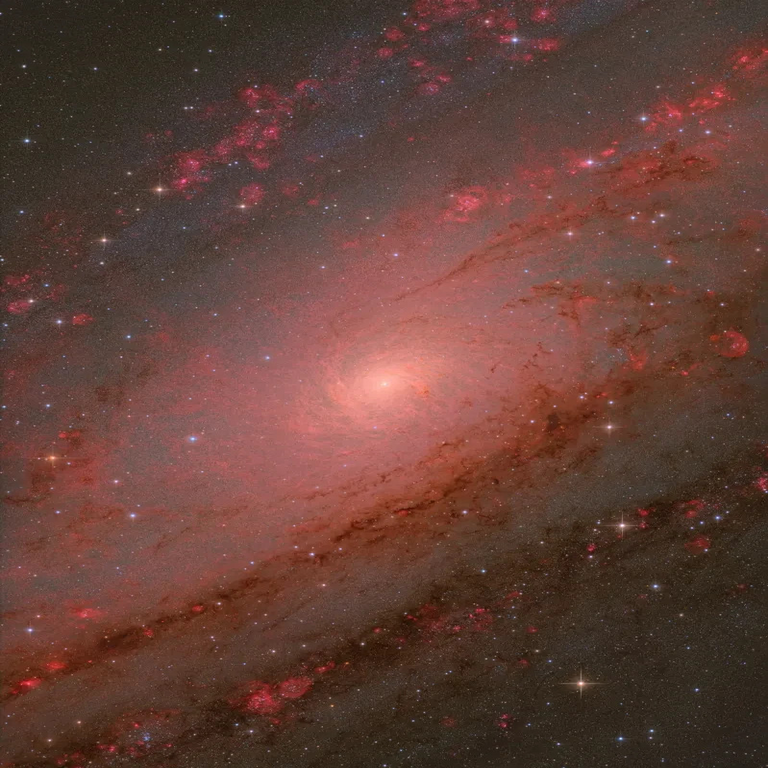 Ganadores del concurso de Fotografía Astronómica del Año 2025 por ZWO.