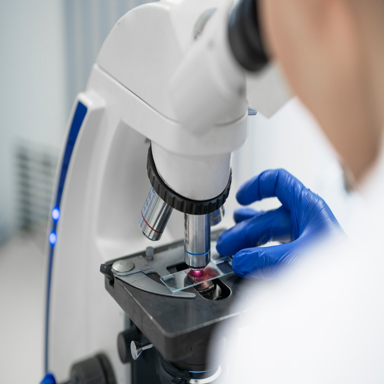 Investigadores determinaron el origen de la resistencia antibiótica en bacterias.