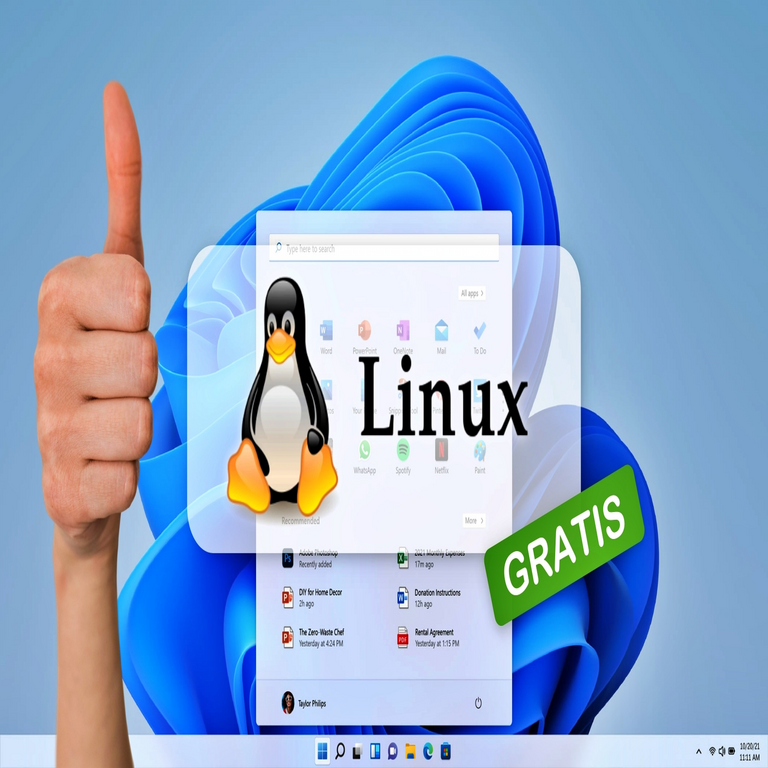 Esta réplica de Windows 11, compatible con Linux, revitaliza cualquier equipo informático obsoleto, restaurando su rendimiento óptimo como en su estado inicial.