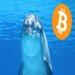 Un delfín de Bitcoin reactiva su billetera inactiva por 12 años mediante una transferencia de valor millonario.