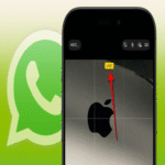 Soy el único entre mis conocidos que utiliza las funciones de Live Photos en el iPhone; con la reciente actualización de WhatsApp, confío en persuadirlos de su valor.