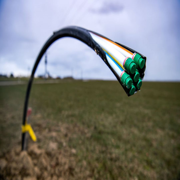 Brasil inicia la evaluación de interés público sobre el dumping de fibra proveniente de China.