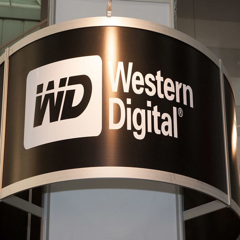 Western Digital presenta una vulnerabilidad crítica que pone en riesgo a numerosos dispositivos NAS My Cloud.