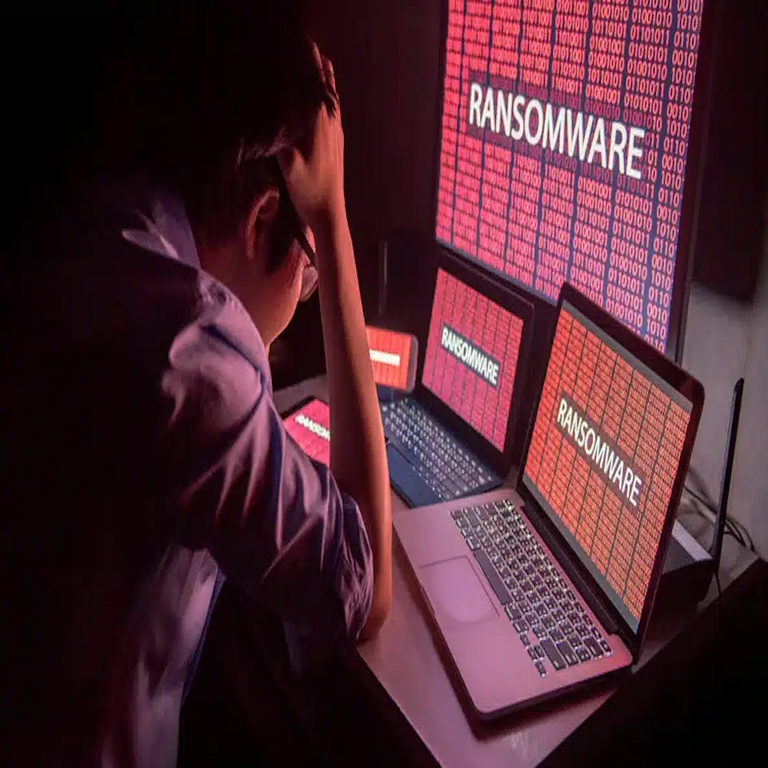Disminuyen los pagos de rescate, pero persiste el ransomware: EMEA fortalece su resiliencia
