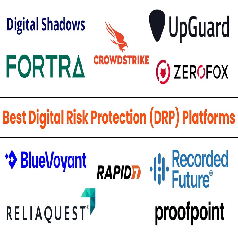 Las 10 principales plataformas de protección contra riesgos digitales (DRP) en 2025