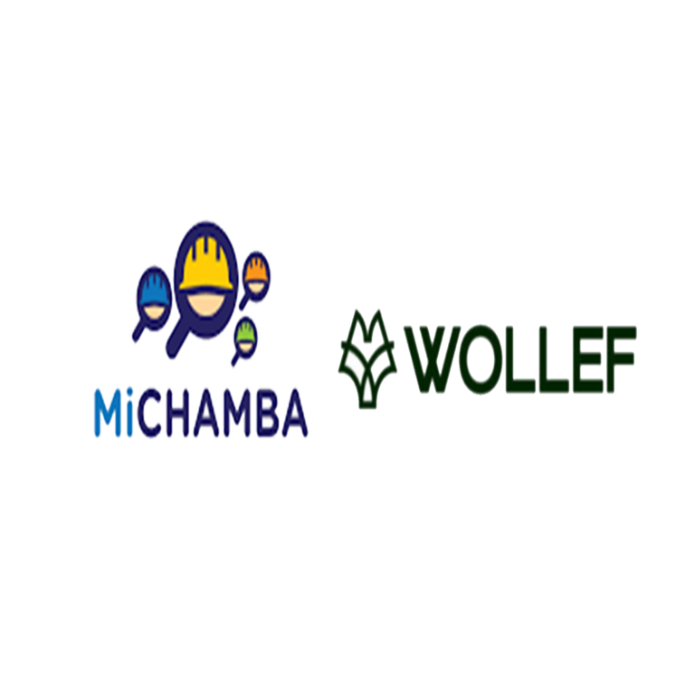MiChamba obtiene financiamiento pre-seed por 2.25 millones de dólares, liderado por Wollef.
