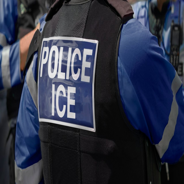 El ICE busca establecer un equipo de monitoreo continuo de redes sociales operativo las 24 horas del día, los 7 días de la semana.