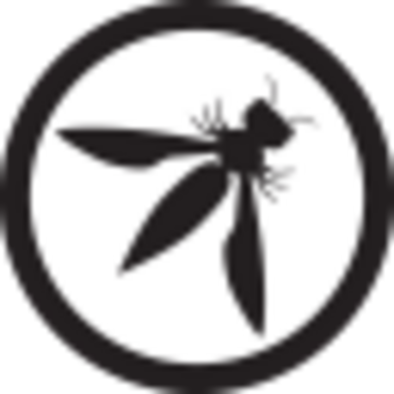 Desarrollador de Software Seguro Certificado por OWASP