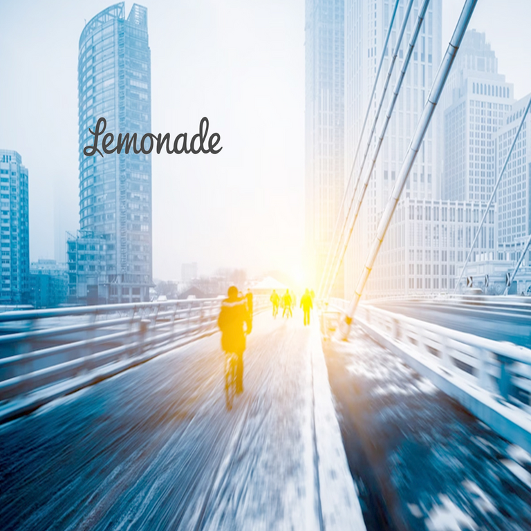 Lemonade incorpora al director de marketing de PayPal a su junta directiva.