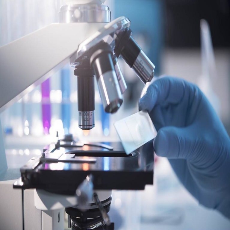 La empresa ACL es sancionada con 5,8 millones de dólares por la infracción en Medlab Pathology.