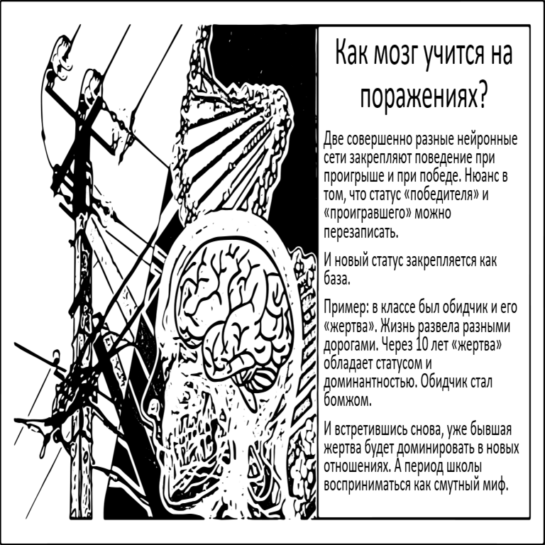 [Traducción] El efecto del perdedor. Cómo se reentrena el cerebro tras las derrotas y si podemos influir en este proceso.