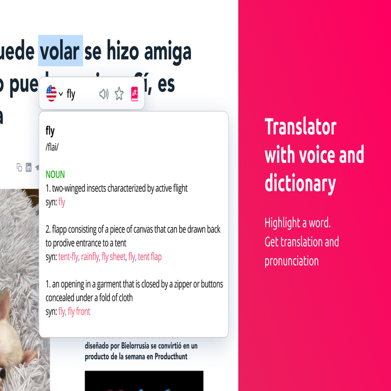Extensión para la traducción de páginas web