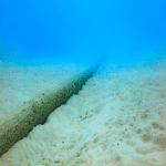 Brasil: Anatel aboga por la descentralización y la coordinación regulatoria en cables submarinos.