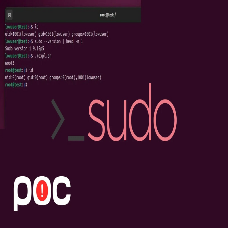 Se ha liberado un exploit de prueba de concepto para la vulnerabilidad de escalada de privilegios locales en Sudo Chroot.