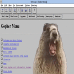 ¿Cómo sería la World Wide Web si Gopher hubiera reemplazado a WWW en lugar de este último?