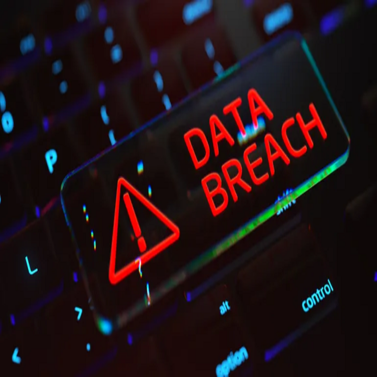 Muchos líderes de TI hacen clic en enlaces de phishing, y algunos no los reportan.
