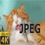 Por qué los archivos han disminuido de tamaño: formatos de imágenes y videos (JPEG, HEIC, AV1)