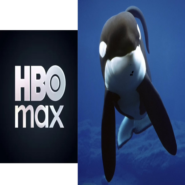 HBO resucita al cetáceo más emblemático de la historia: Liberen a Willy, la serie televisiva.