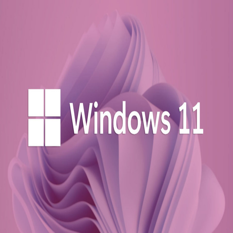 Una actualización reciente de Windows 11 podría inhabilitar el teclado y el ratón en su equipo informático.