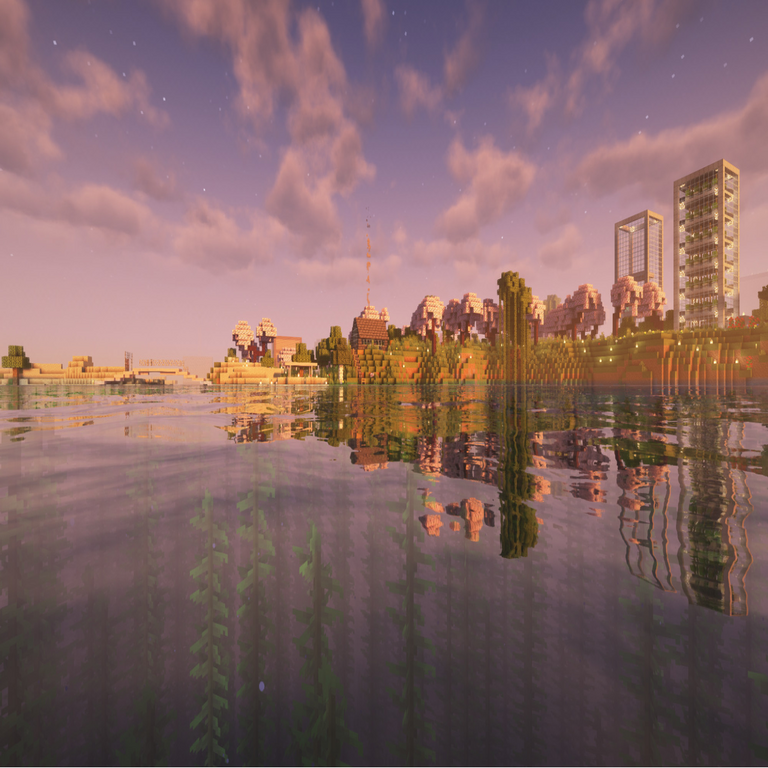Iniciación de un servidor en Minecraft: análisis de la competencia