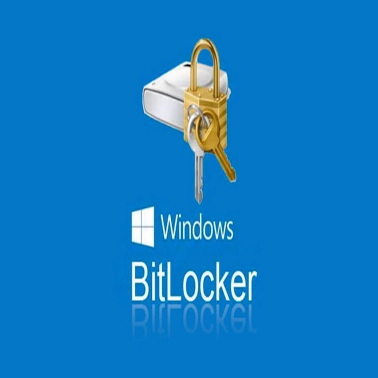 Al intentar optimizar el rendimiento de su ordenador mediante la reinstalación de Windows 11, el usuario perdió 3 TB de datos debido a la encriptación de BitLocker.