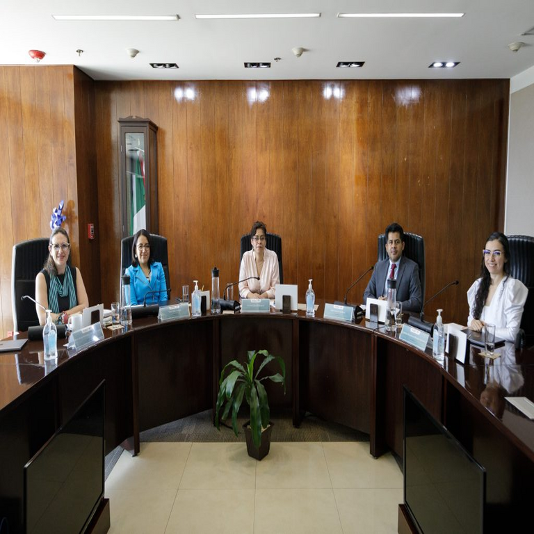 La Comisión Reguladora de Telecomunicaciones de México conforma su Pleno y aprueba sus lineamientos internos.